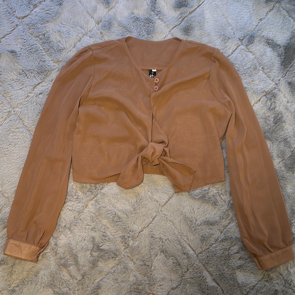 Sheer Tan Blouse with Tie Front